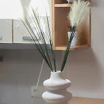 Nest *